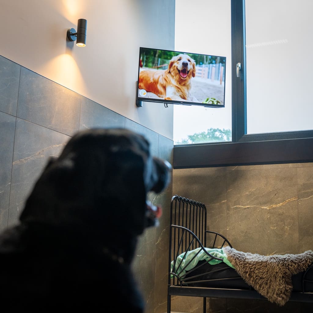 Dierenhotel De Bréborgh