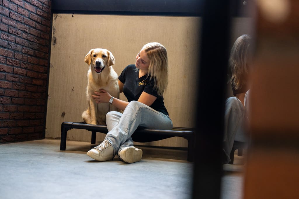 Dagopvang De Breborgh