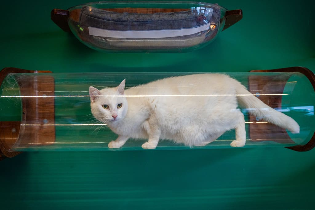 Dierenhotel De Bréborgh