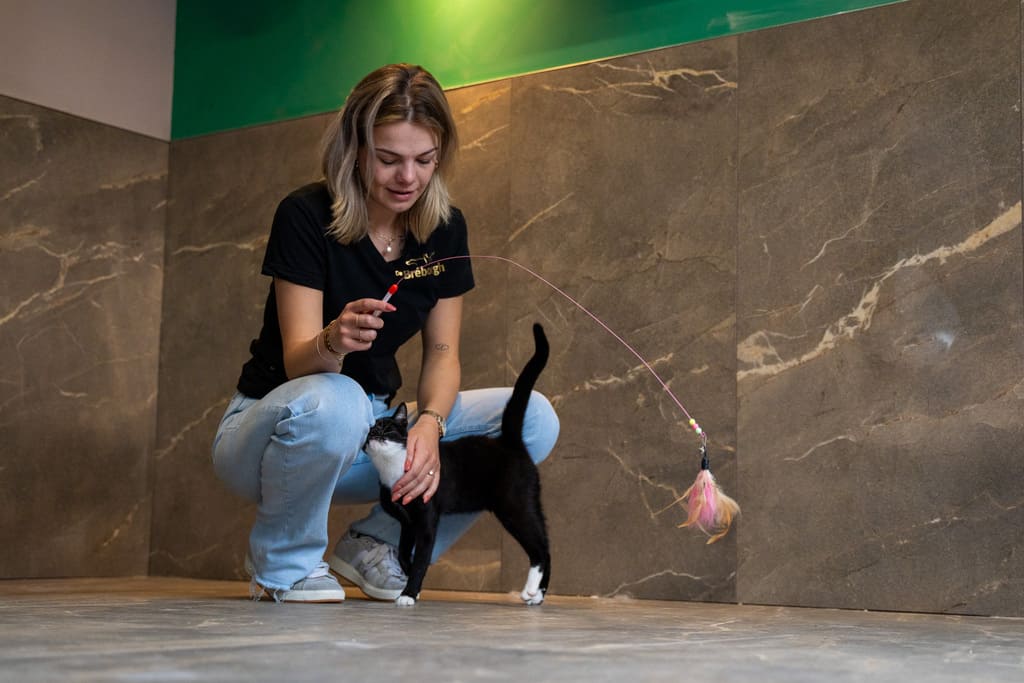 Dierenhotel De Bréborgh