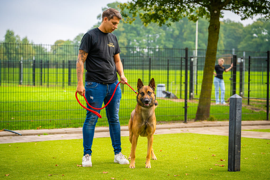 Dierenhotel De Bréborgh