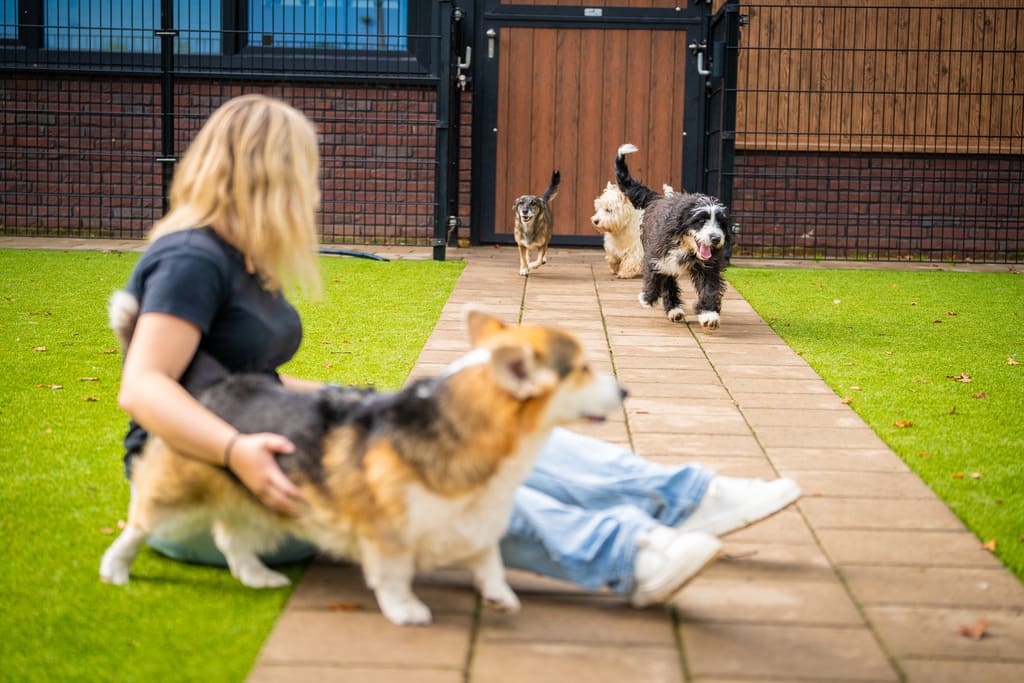 Dierenhotel De Bréborgh