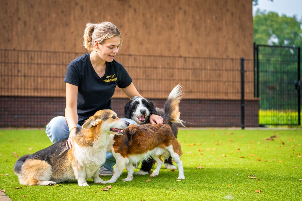 Dierenhotel De Bréborgh