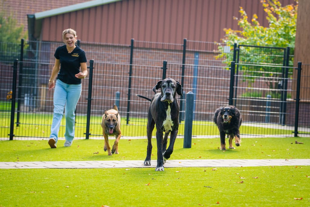 Dierenhotel De Bréborgh