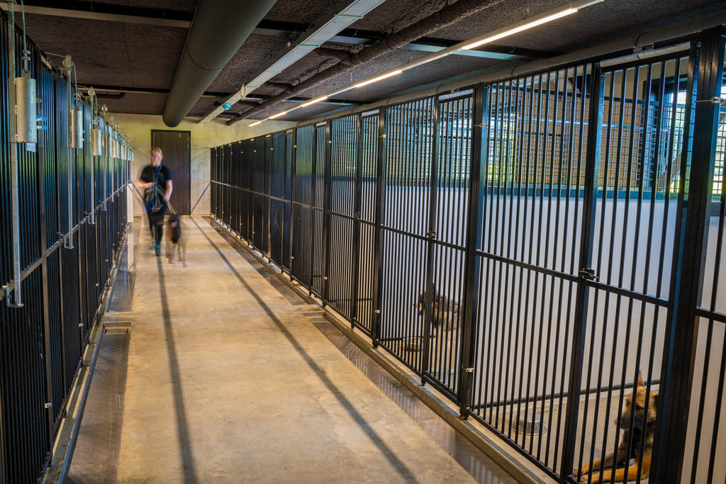 Dierenhotel De Bréborgh