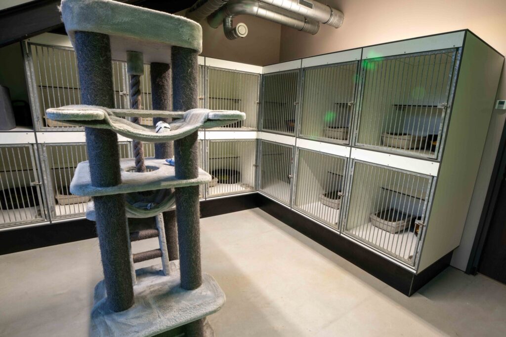 Dierenhotel De Bréborgh